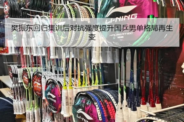 樊振东回归集训后对抗强度提升国乒男单格局再生变